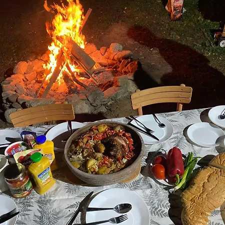 Ninić
